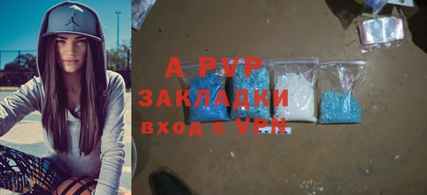 ECSTASY Богородицк