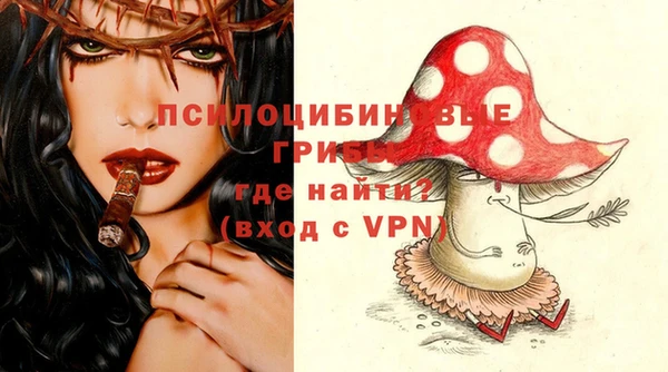 ECSTASY Богородицк