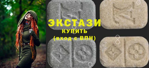 ECSTASY Богородицк