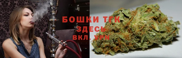 ECSTASY Богородицк