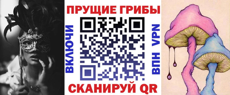 Галлюциногенные грибы MAGIC MUSHROOMS  OMG как войти  Плёс 